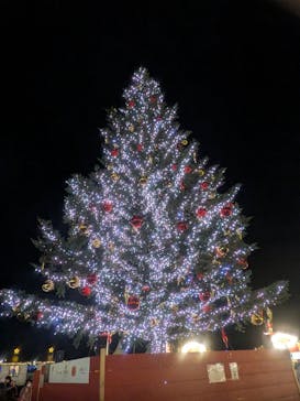 Christmas Market in 横浜赤レンガ倉庫 2025に投稿された画像（2025/12/18）