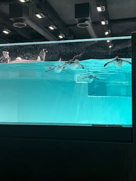 AOAO SAPPOROに投稿された画像（2025/12/18）