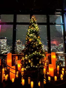 東京タワーに投稿された画像（2025/12/18）