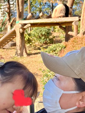 恩賜上野動物園に投稿された画像（2025/12/18）