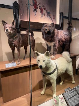 国立科学博物館に投稿された画像（2025/12/18）