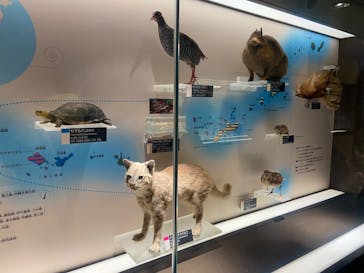 国立科学博物館に投稿された画像（2025/12/18）