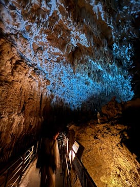 おきなわワールドに投稿された画像（2025/12/18）