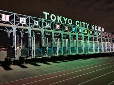 東京メガイルミに投稿された画像（2025/12/18）