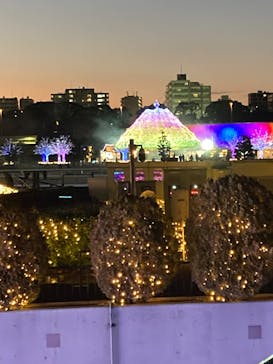 東京メガイルミに投稿された画像（2025/12/18）