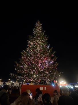 Christmas Market in 横浜赤レンガ倉庫 2025に投稿された画像（2025/12/18）