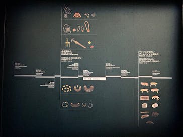 ACN ラムセス大王展 ファラオたちの黄金に投稿された画像（2025/12/18）