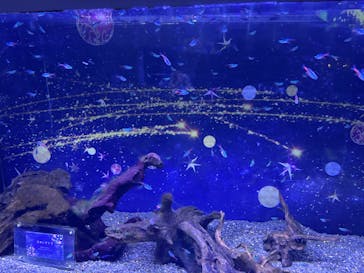 マクセル アクアパーク品川に投稿された画像（2025/12/18）