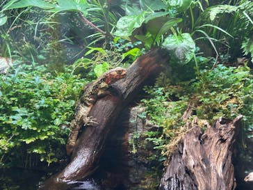 マクセル アクアパーク品川に投稿された画像（2025/12/18）