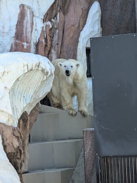 恩賜上野動物園に投稿された画像（2025/12/18）