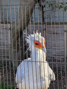 恩賜上野動物園に投稿された画像（2025/12/18）