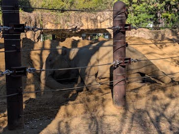 恩賜上野動物園に投稿された画像（2025/12/18）