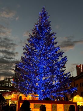 Christmas Market in 横浜赤レンガ倉庫 2025に投稿された画像（2025/12/18）