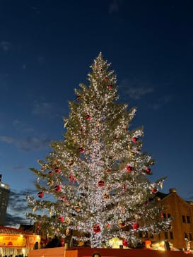 Christmas Market in 横浜赤レンガ倉庫 2025に投稿された画像（2025/12/18）