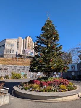 西武園ゆうえんちに投稿された画像（2025/12/18）