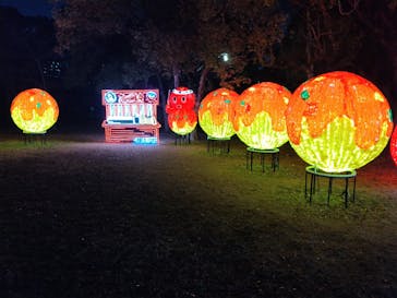 大阪城イルミナージュに投稿された画像（2025/12/18）