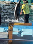名古屋港水族館に投稿された画像（2025/12/19）