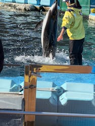名古屋港水族館に投稿された画像（2025/12/18）