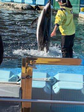名古屋港水族館に投稿された画像（2025/12/18）
