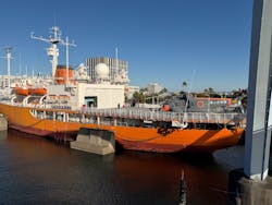 名古屋港水族館に投稿された画像（2025/12/18）