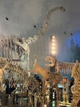 福井県立恐竜博物館に投稿された画像（2025/12/19）