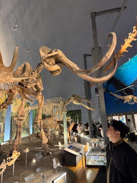福井県立恐竜博物館に投稿された画像（2025/12/18）