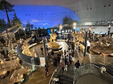 福井県立恐竜博物館に投稿された画像（2025/12/18）