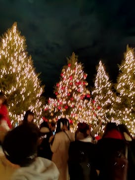 Christmas Market in 横浜赤レンガ倉庫 2025に投稿された画像（2025/12/19）