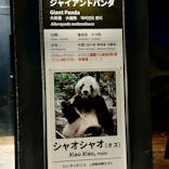 恩賜上野動物園に投稿された画像（2025/12/19）