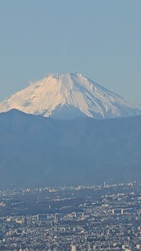 東京スカイツリーに投稿された画像（2025/12/19）