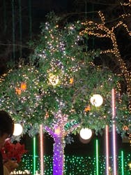 さがみ湖MORI MORIに投稿された画像（2025/12/19）