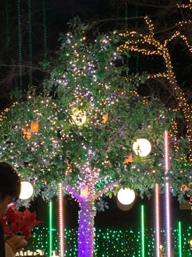 さがみ湖MORI MORIに投稿された画像（2025/12/19）