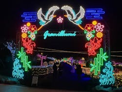 伊豆高原グランイルミに投稿された画像（2025/12/19）