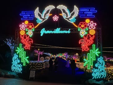 伊豆高原グランイルミに投稿された画像（2025/12/19）