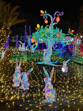 伊豆高原グランイルミに投稿された画像（2025/12/19）