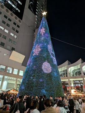 梅田スカイビル・空中庭園展望台に投稿された画像（2025/12/19）