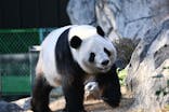 恩賜上野動物園に投稿された画像（2025/12/19）