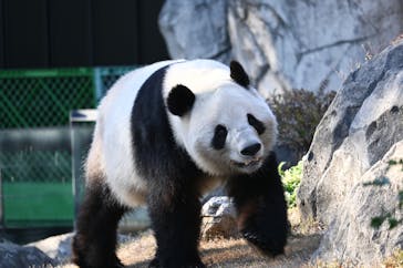 恩賜上野動物園に投稿された画像（2025/12/19）