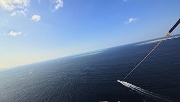 Sea World（シーワールド）に投稿された画像（2025/12/19）