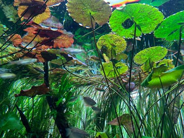 AOAO SAPPOROに投稿された画像（2025/12/19）