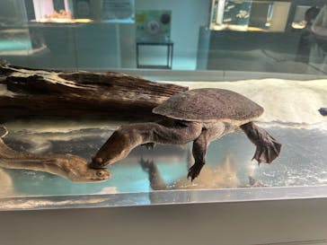 AOAO SAPPOROに投稿された画像（2025/12/19）