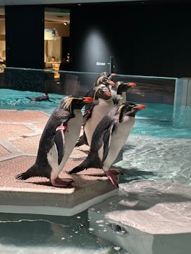 AOAO SAPPOROに投稿された画像（2025/12/19）