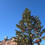 Christmas Market in 横浜赤レンガ倉庫 2025に投稿された画像（2025/12/19）