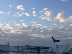 沖縄美ら海水族館に投稿された画像（2025/12/19）