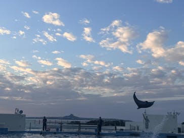 沖縄美ら海水族館に投稿された画像（2025/12/19）