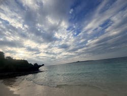 沖縄美ら海水族館に投稿された画像（2025/12/19）