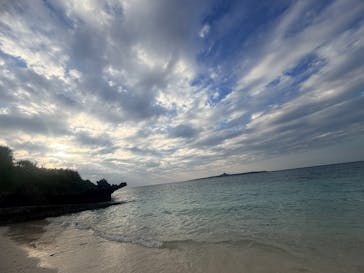 沖縄美ら海水族館に投稿された画像（2025/12/19）