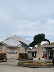 沖縄美ら海水族館に投稿された画像（2025/12/19）