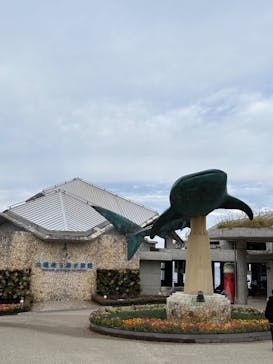 沖縄美ら海水族館に投稿された画像（2025/12/19）