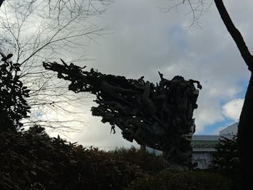 彫刻の森美術館に投稿された画像（2025/12/19）